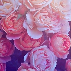 Meet your Posher, Rocio